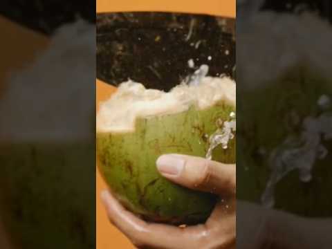 "Nariyal Mein Pani Kaise Aata Hai ?? | #nariyal #shorts #coconutwater #facts #shorts #trending thumbnail