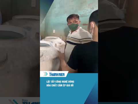 Lật tẩy công nghệ dùng chất 6-Benzylaminopurine để ép giá đỗ mập mạp, triệt tiêu rễ #shorts thumbnail