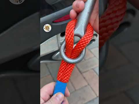 The Perfect Tips what you don’t know thumbnail