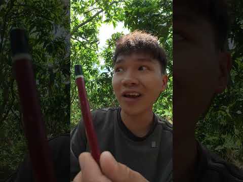 ??????????? | Cây Bút Mất Tích #longcaolanh #htl #viral #shorts thumbnail