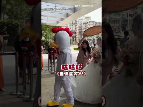 【要確欸】婚禮帶路「雞」太有創意 自帶音效網笑翻｜婚禮｜帶路雞｜荒謬 thumbnail