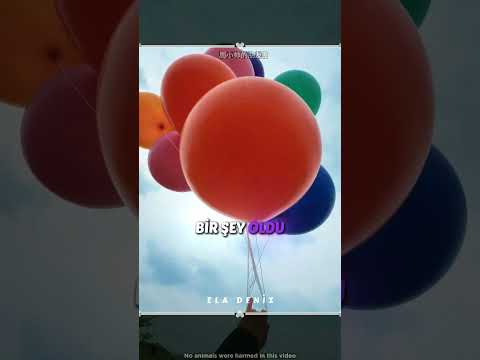 Balonlar Minik Köpeği Mutlu Etti 🎈🥰 thumbnail