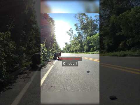 Riding With Bro Ended Badly… thumbnail