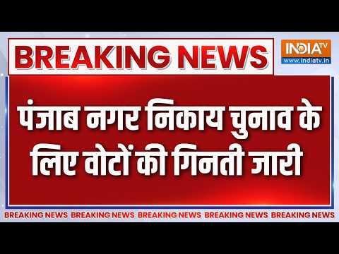 Punjab Politics: पंजाब नगर निकाय चुनाव के लिए वोटों की गिनती जारी | AAP | Punjab Nikay Chunav Result thumbnail