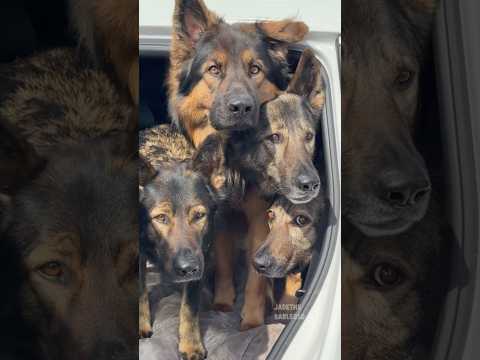 Roll Call thumbnail
