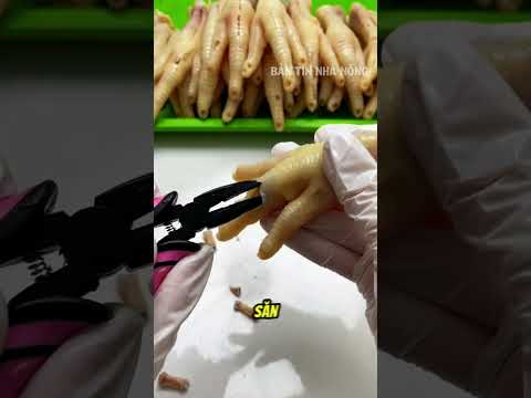 Một chiếc kìm và cách rút xương chân gà cực nhanh thumbnail