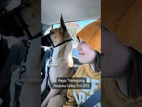 Happy Thanksgiving! #thanksgiving #adamsandler thumbnail