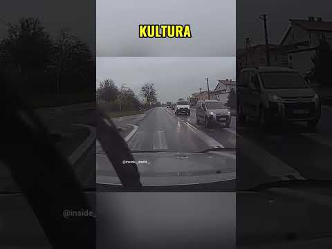 ? Nawet pies wiedział, żeby przejść po pasach ? #shorts #polskiedrogi #kierowcy thumbnail