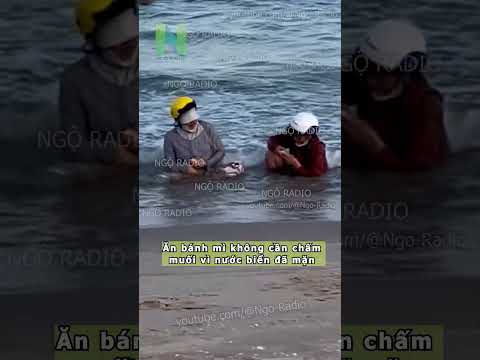 Ăn bánh mì không cần chấm muối vì nước biển đã mặn thumbnail