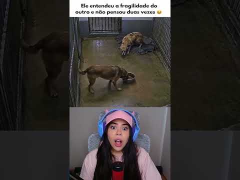 Deu a Própria Comida Para o Aumigo #shorts thumbnail