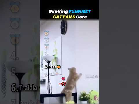 Ranking FUNNIEST CAT FAILS Core Moments!! 🐱😨 thumbnail