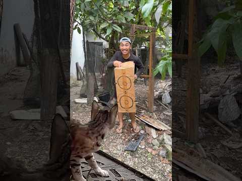 kagetin kucing pakai speaker thumbnail
