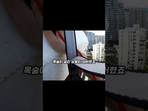 낙하산이 건물에 걸렸다 thumbnail