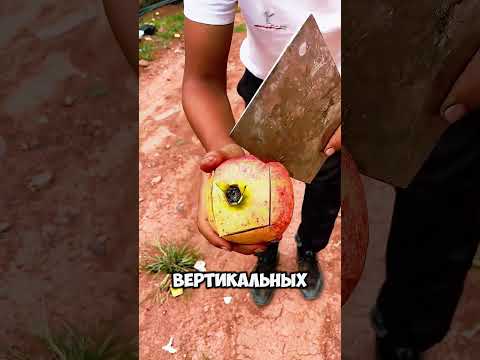 Как правильно разрезать гранат? thumbnail