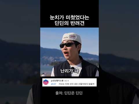 눈치가 레전드였다는 딘딘의 반려견 thumbnail