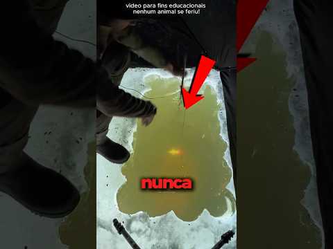 Por que pescadores Erram de Propósito? ? thumbnail