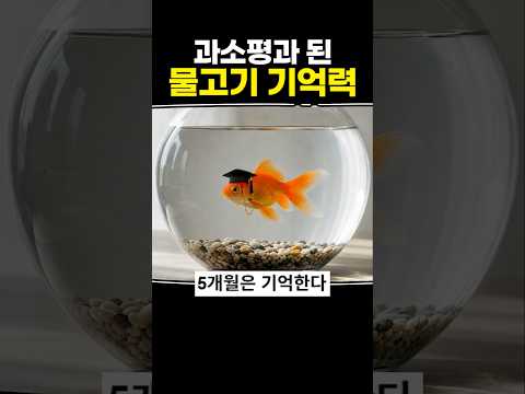 과소평가된 물고기 기억력 thumbnail