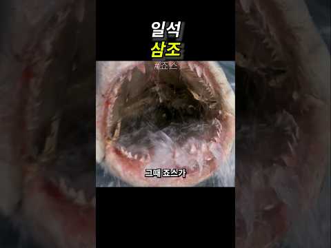 일석 삼조 thumbnail