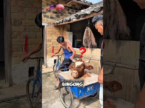 Dikira Rezeki, Malah Diambil Lagi ? thumbnail