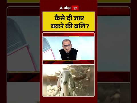 Sandeep Chaudhary on Bakra Eid : कैसे दी जाए बकरे की बलि ? | #ytshorts #BakraEid #shorts thumbnail