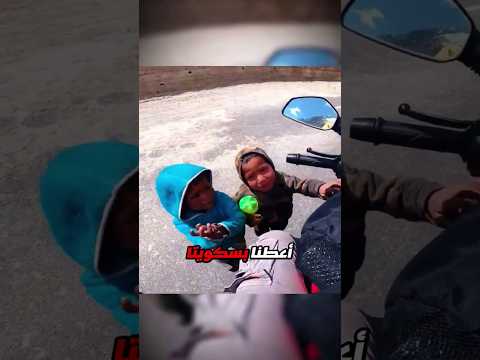 عندما يتحول البسكويت إلى أزمة حقيقية! Credit: @WanderlustNomad/YT thumbnail