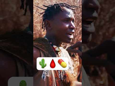 El arbusto más peligroso de Tanzania 🌵 #tanzania #shorts thumbnail
