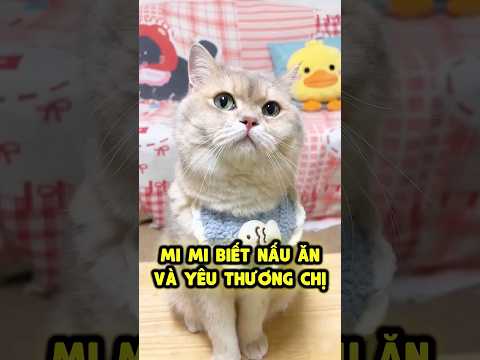 Mi Mi biết nấu ăn và rất yêu thương chị 😻 thumbnail