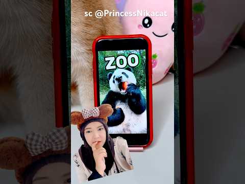 mau ketemu panda‼️PrincessNikacat thumbnail