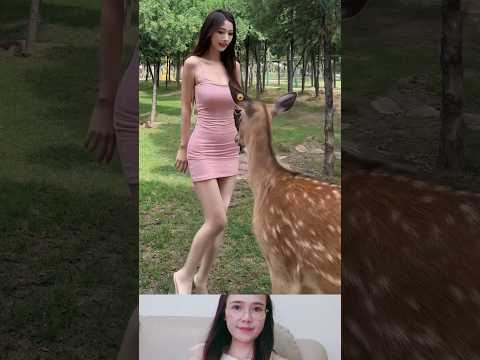 사슴이 소녀에게 무슨 짓을 했나요? #웃긴영상 #funny #각종유머 #viral #shorts #viralshorts #tiktok #korea #tiktok #usa thumbnail