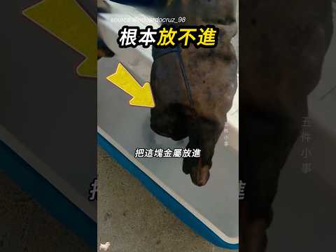 比圓孔還大的金屬，如何組裝🔩 thumbnail