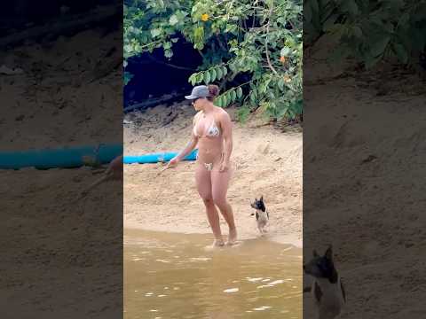 ?? Balneario Camboriu Beach A Wonderful Day thumbnail