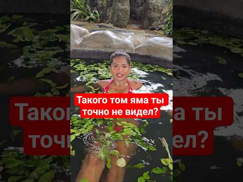 как думаешь, вкусно? thumbnail