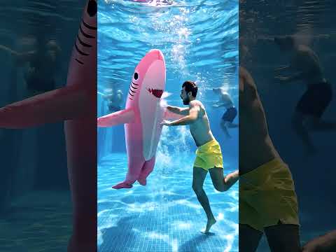 The shark fell into the pool ?? thumbnail