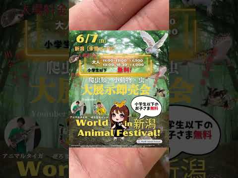 ペットを売ることにしました… thumbnail