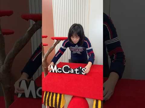 Mom made a new home for the cat! ☺️? thumbnail