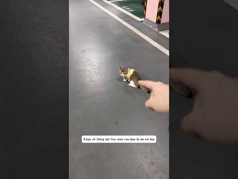 Về nhà chị nuôi nha thumbnail