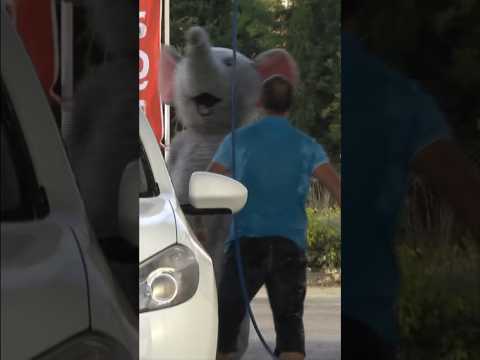 #elephant #prank #remigaillard 🐘 thumbnail