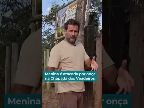 Menina é atacada por onça na Chapada dos Veadeiros | #DomingoEspetacular #shorts thumbnail