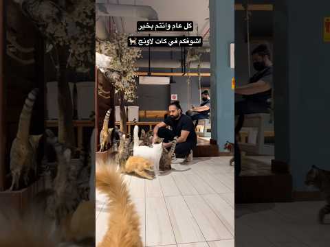 العيد احلى في كات لاونج ?? thumbnail