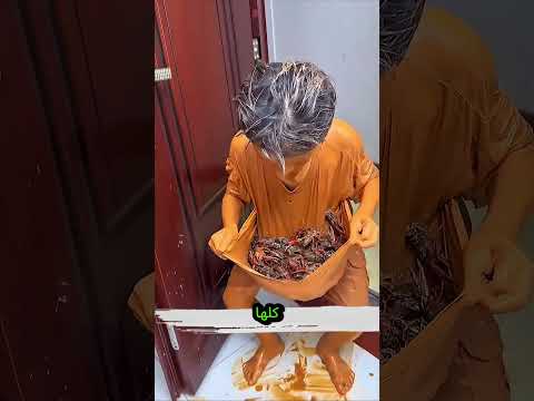 مفاجأة الحشرات! 🐞😲 thumbnail