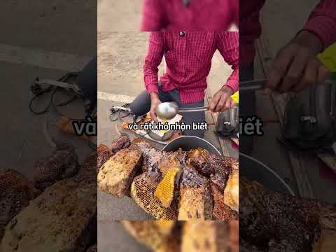 “Đừng bao giờ mắc sai lầm này khi mua mật ong #shorts #shortvideo thumbnail