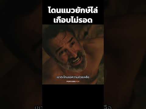 โดนแมวยักษ์ไล่เกือบเอาตัวไม่รอด  #รีวิวหนัง #movie #สปอยหนัง thumbnail
