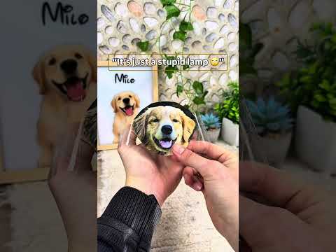 Wait for it ?❤️#dogs #pets #dogsoftiktok #dogloss #giftsideas thumbnail