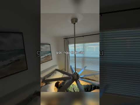 anh chàng này đã phát minh ra chiếc quạt trần thiên đường thumbnail