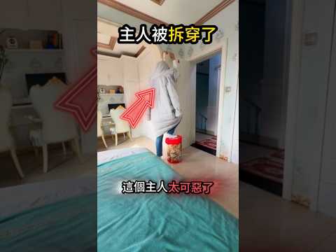 面對主人的招數?牠找出了破綻? thumbnail