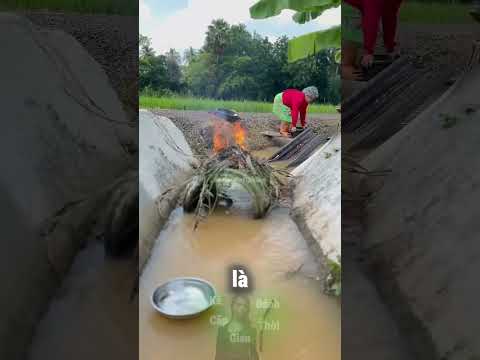 Cách Rửa Bát Kiểu Mới 😅 thumbnail