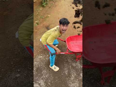 Angkut pasir malah kekubur thumbnail