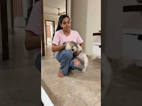 Moru Ki Tabiyat Kharab Ho Gae ?? #dog #dogshorts #dogs #doglife #doglove #love #pets #pet #family thumbnail