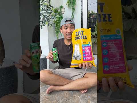 kasih makan kucing yang kosong thumbnail