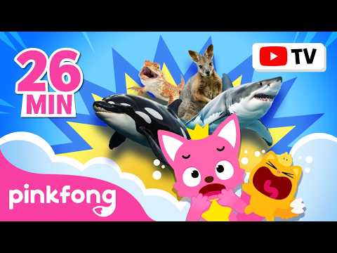 [Full Episodes] Did You Know These Animals? | Creepy Zombie Animals and More | Pinkfong Official thumbnail